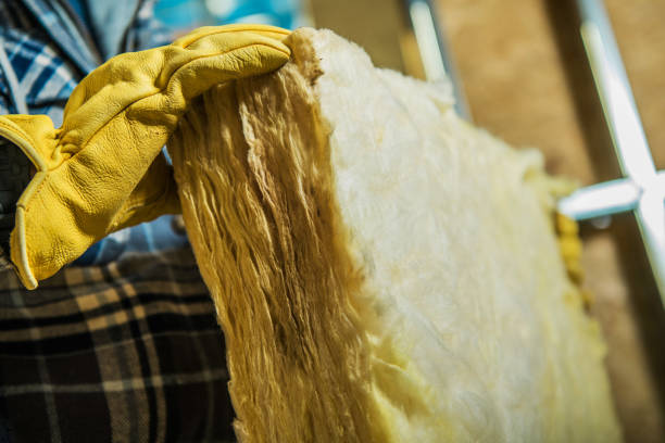 Types of Insulation We Offer in Debary, FL
