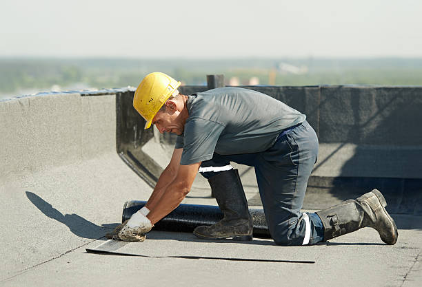 Best Commercial Insulation in Debary, FL