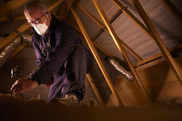 Best Geographic-Specific Insulation Services in Debary, FL